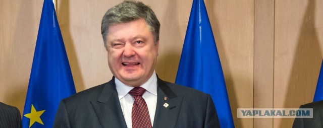 Свиньи разорвали питона из мести за детеныша