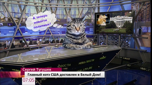 Деградации пост
