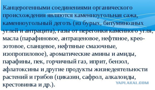 Вот что случится, если залить блестящие магазинные яблоки горячей водой