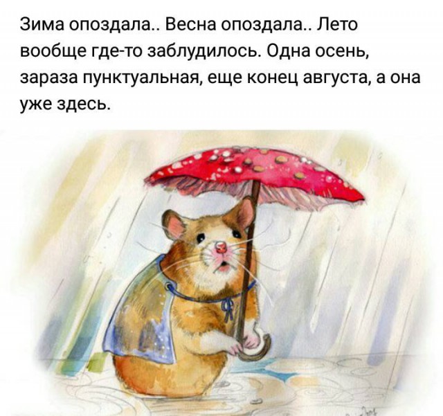 Весёлые картинки
