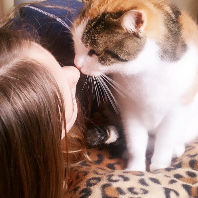 Котовторник!