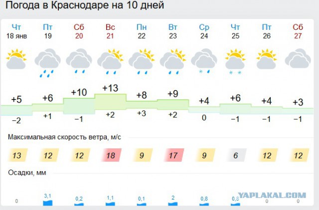 Развитие Дальнего Востока привело к демографическому взрыву в Краснодарском крае