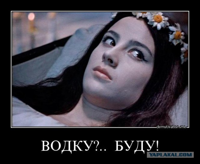 Как надлежит водочку правильно употреблять