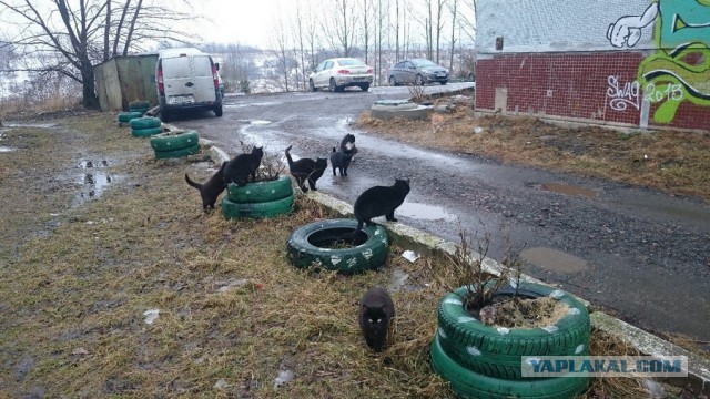 Подборка интересных и веселых картинок