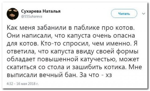 Прикольные комментарии и высказывания из Сети