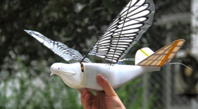 В Китае начали делать дроны, похожие на птиц. Для слежки за жителями?