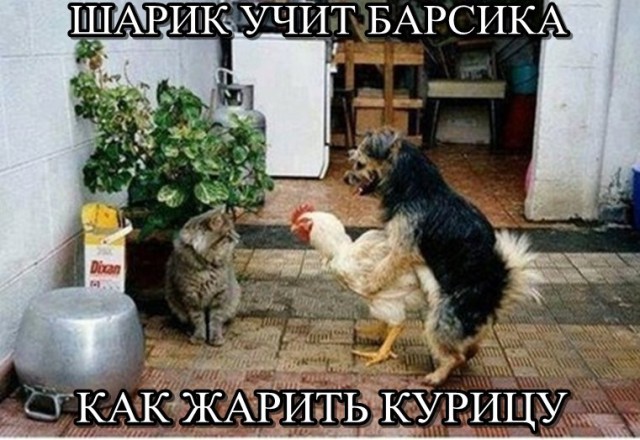 Картинки по-приколу