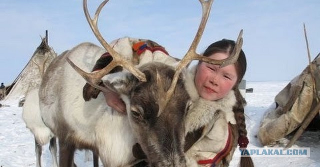Как выглядят отношения с РСП с точки зрения пилота.