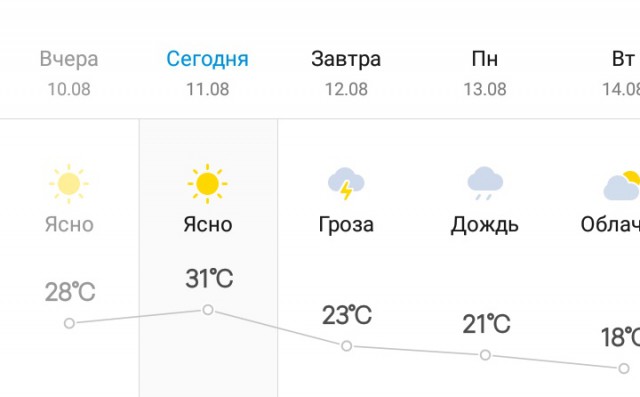 Жизнь домашнего приюта для котеек 230
