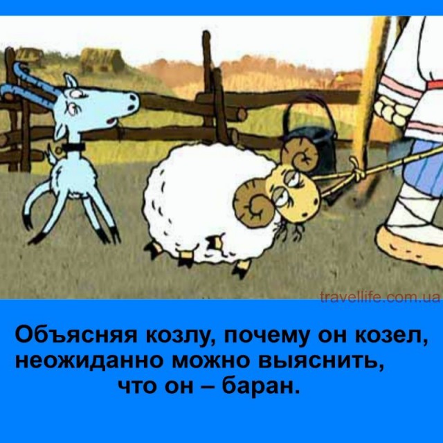 «Думает, что стал звездой»: еще один инцидент произошел в Ростове с участием водителя-«подростка»