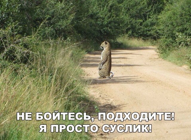 Нестандартный юмор