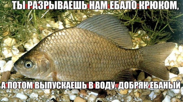 Какая боль. "Точно как в кино..."