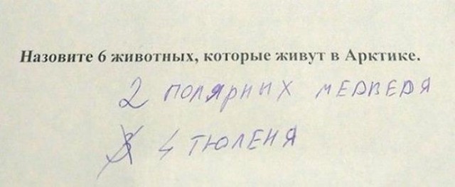 Великолепные ответы школьников, с которыми невозможно поспорить