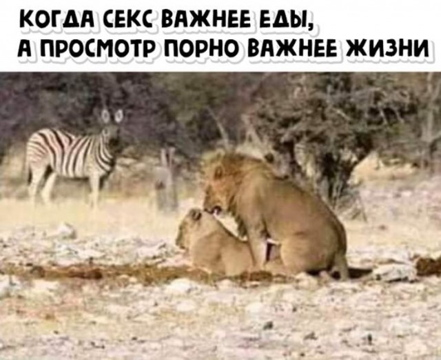Картинки и мемы для настроения