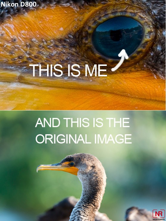 Суперфотоаппарат