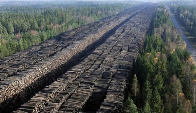 Поляки такие поляки...