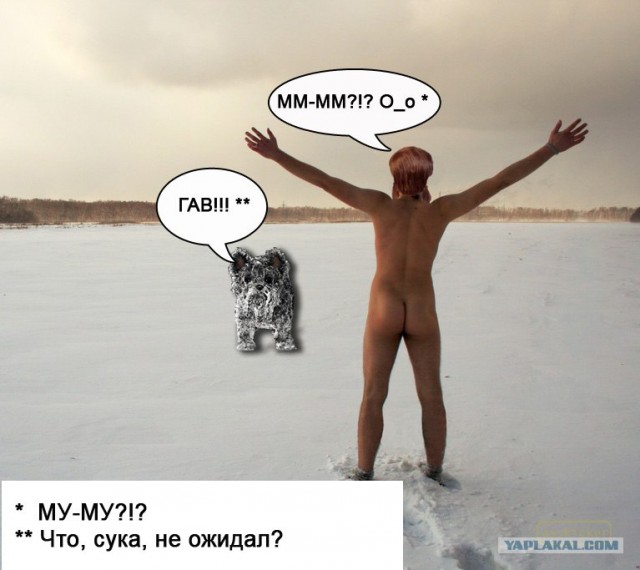 Фотожаба: Скоро зима