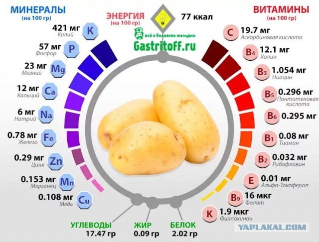 Почему умные мужчины избегают ЗАГСа
