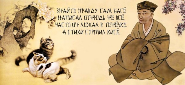 Коты их видят...
