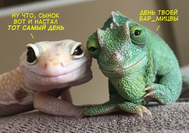 Картинки и мемы для настроения 019