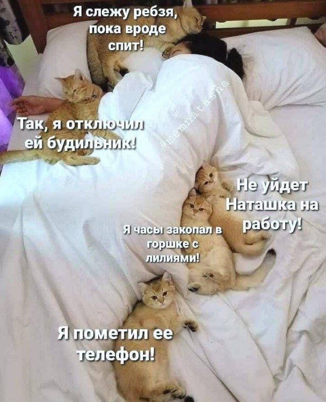 Всяческие картинки 16.06.2021