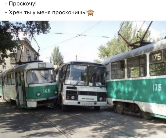Всяческие картинки 29.06.2021