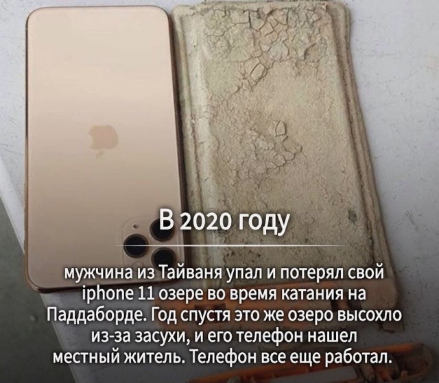 Картинки и мемы для настроения 04.08.2021