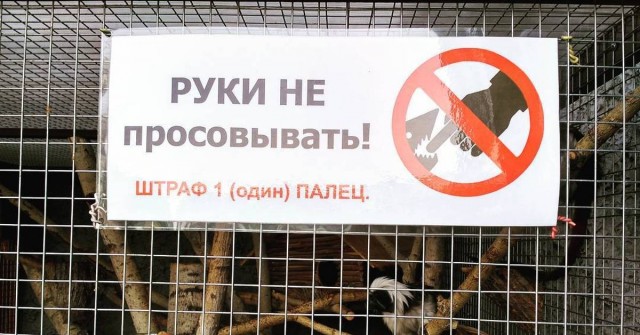Официальное заявление директора парка Тайган Олега Зубкова,    о ситуации с ребенком, которому тигр откусил палец
