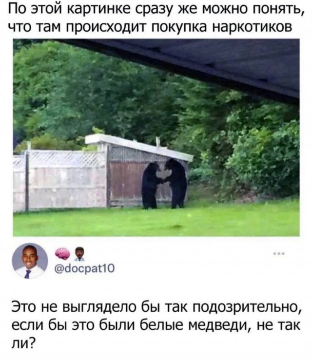 Бредзона 10.10.2021