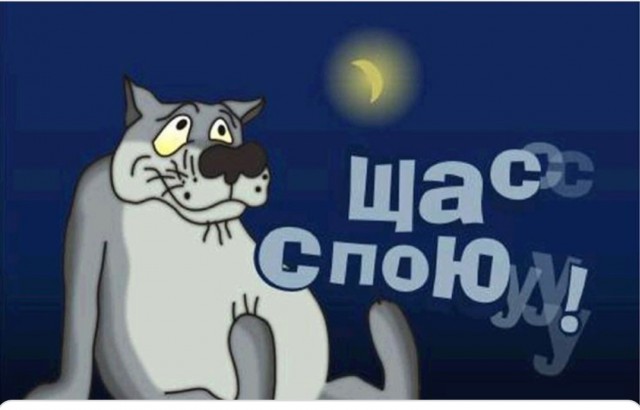 Щас спою волк картинка на белом фоне