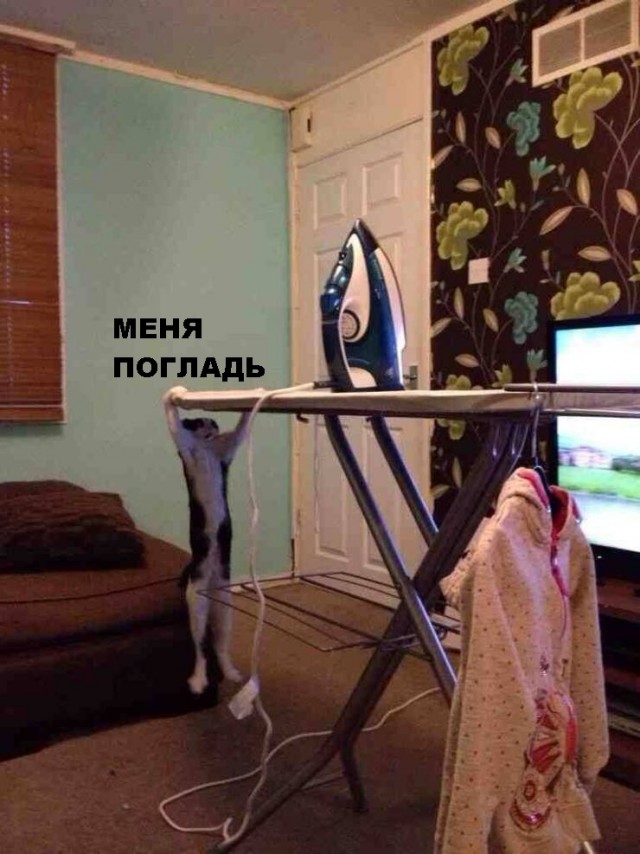 Так себе картинки 28.11.21