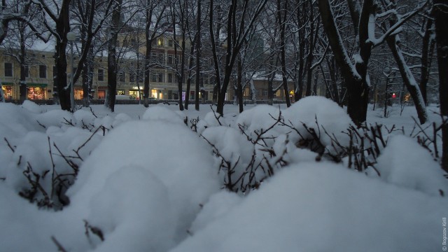 Выборг