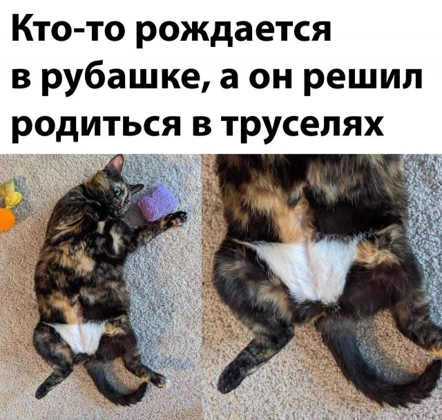 Юмор в картинках и без