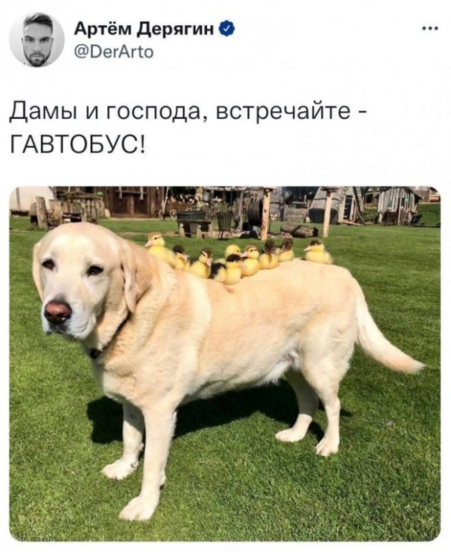 Картинки и мемы для настроения - 107