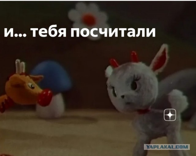 "Я есть закон"