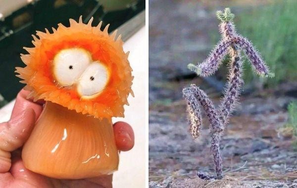 17 вещей, которые претворились другими предметами, заставив нас взглянуть на них дважды