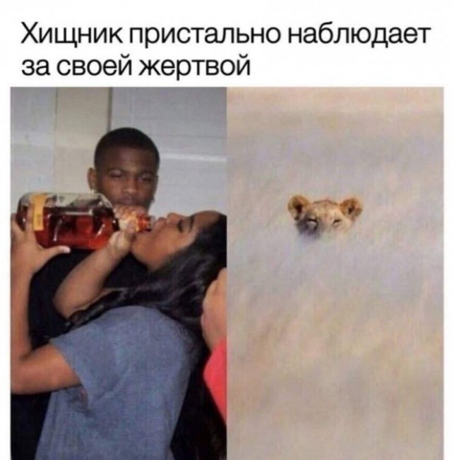 Немного картинок для настроения - 127