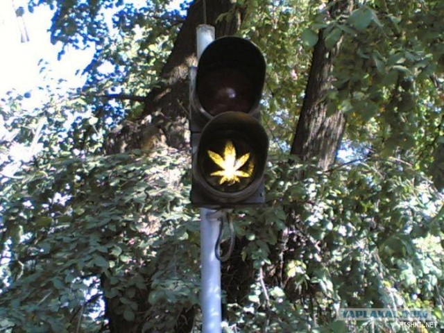 Приколы из Казахстана