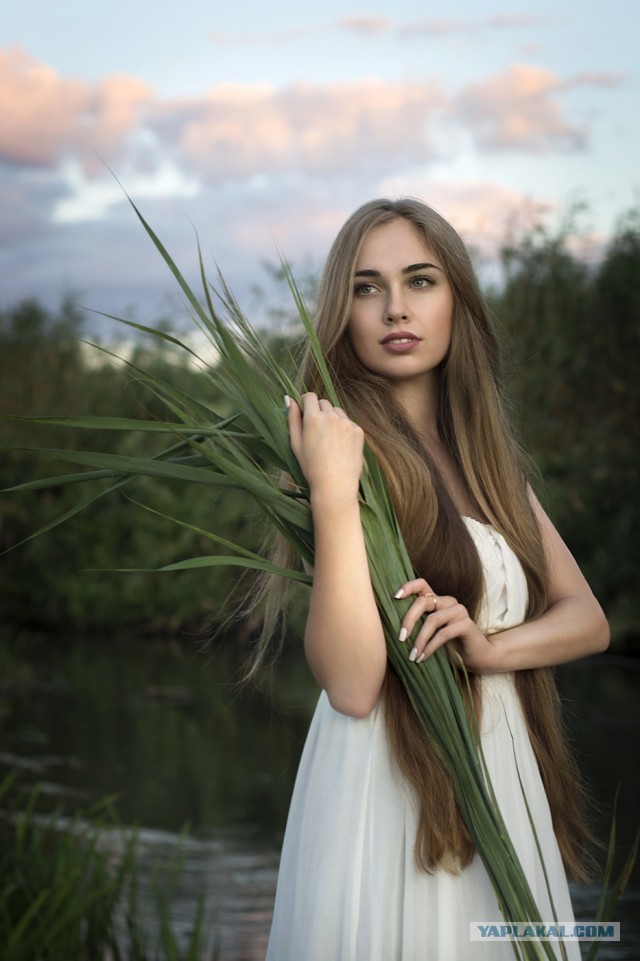 Без похоти, срамоты и силикона