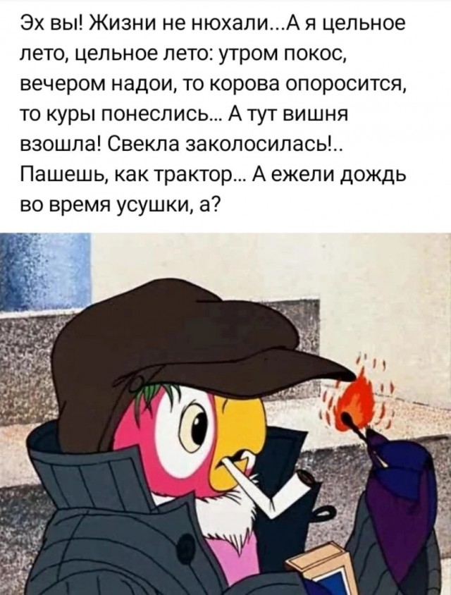 Думаю, что её дочь просто завидует!