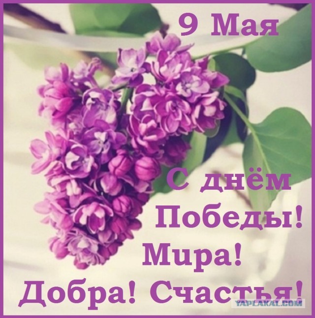 Я тёща. Проблемы с зятем. Дайте совет