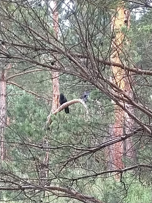 Так себе рыбалки