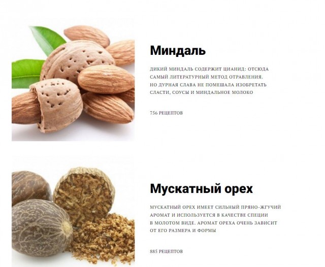 Рязань - Сасово из кабины машиниста