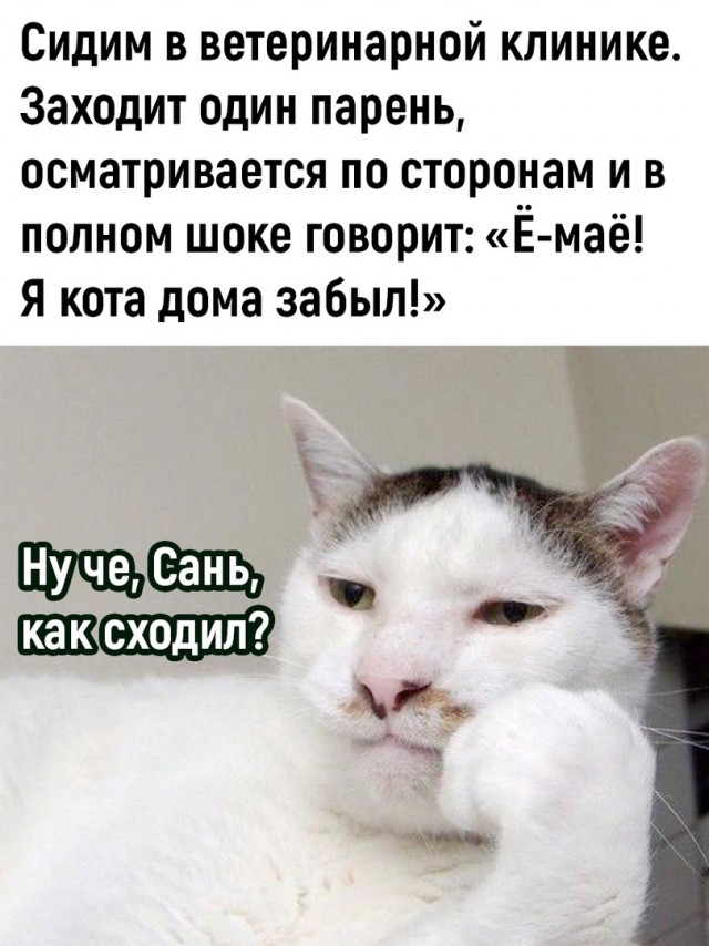 Так себе картинки 01.10.23