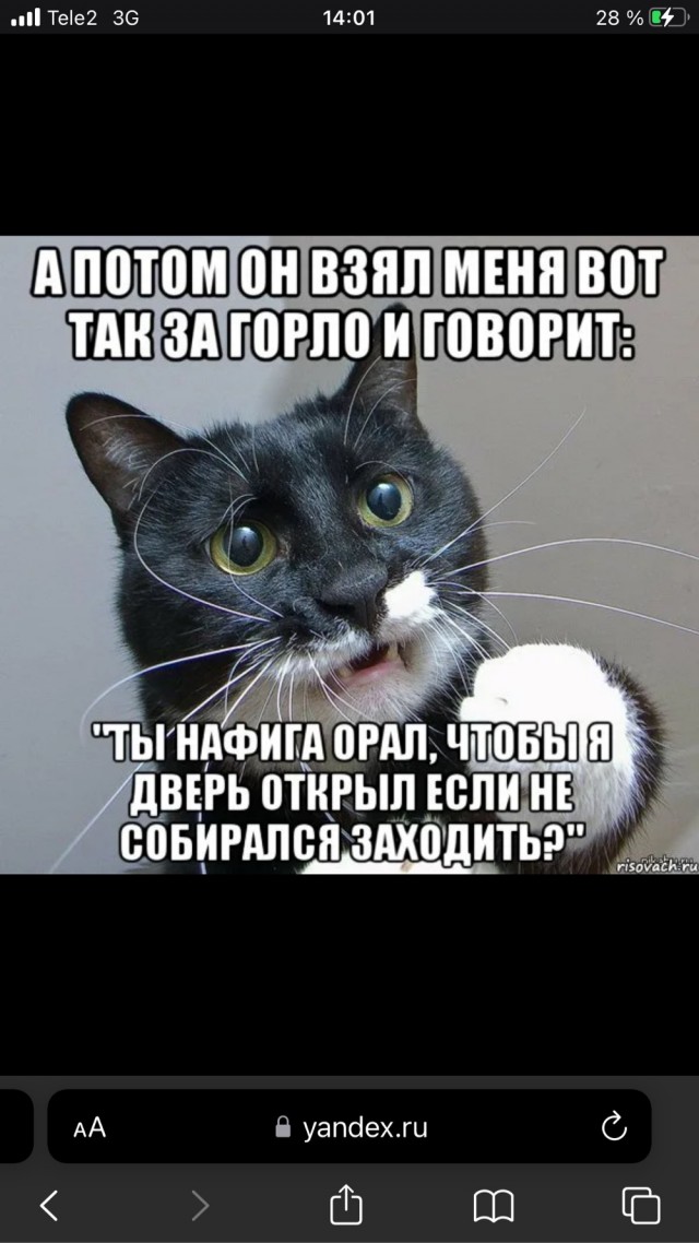 Для понимания, что такое кот