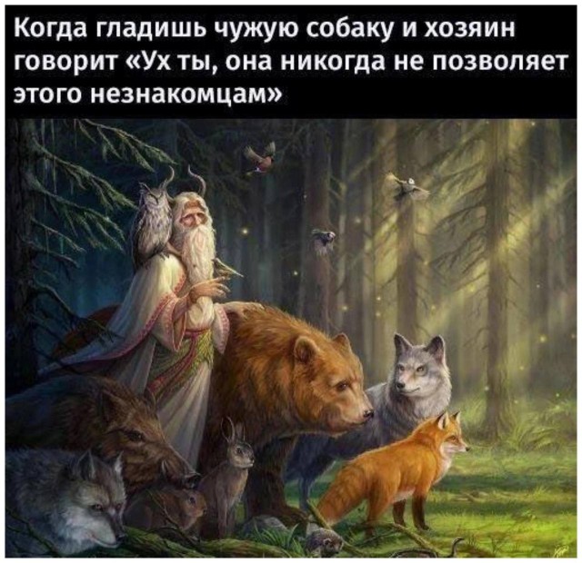 Юмор в картинках и без