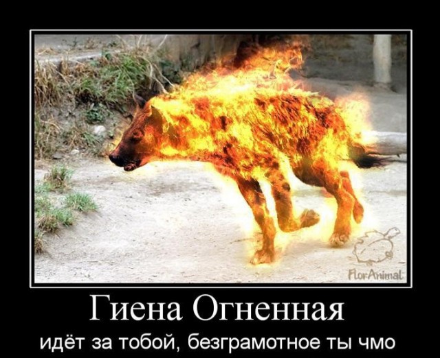 Изделия от Contex