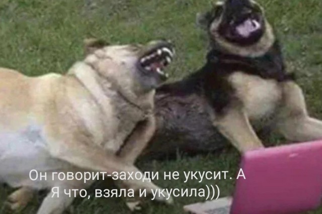 Собака разорвала лицо четырехлетней девочке и откусила палец няне