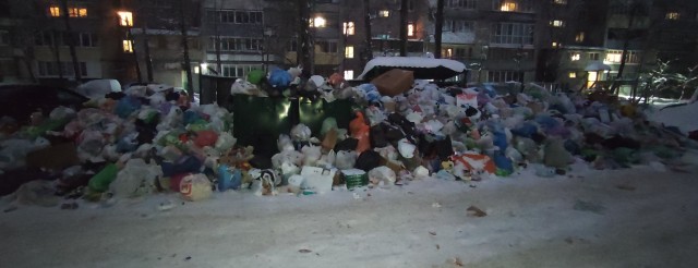 В Химках мусорный коллапс