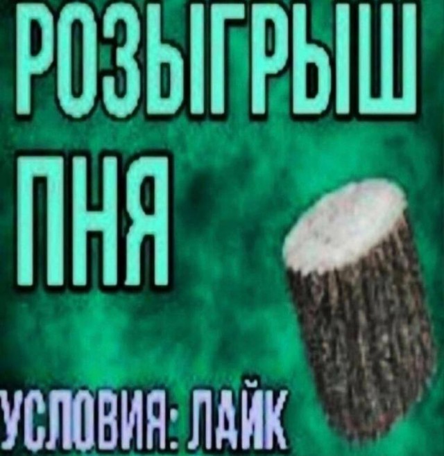 Всего понемногу. От 29.01.24